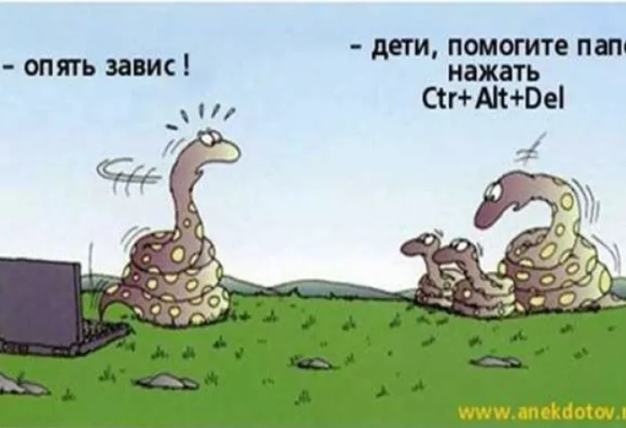 Фото - Наша газета