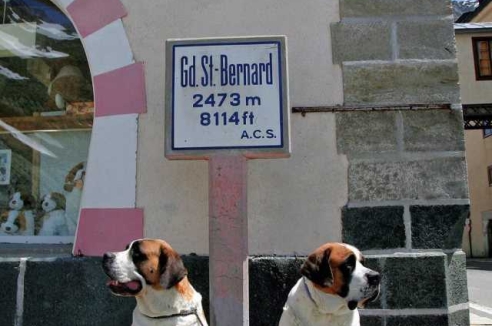 Фото - Наша газета