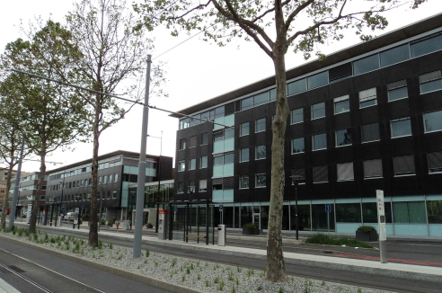 Фото - Наша газета