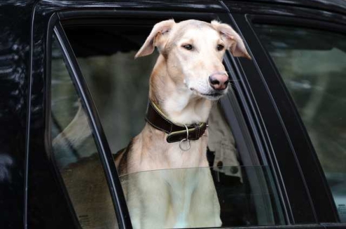 Фото - Наша газета