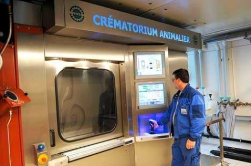 Фото - Наша газета