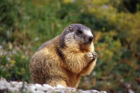 Фото - Наша газета