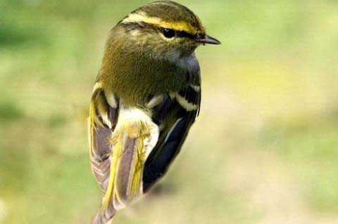 Фото - Наша газета