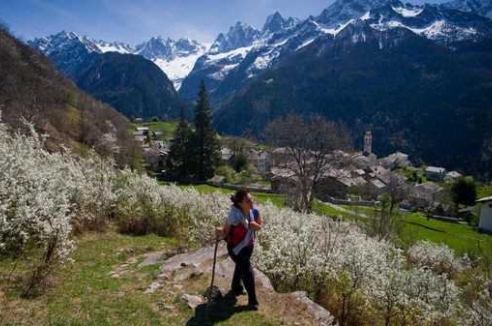 Фото - Наша газета