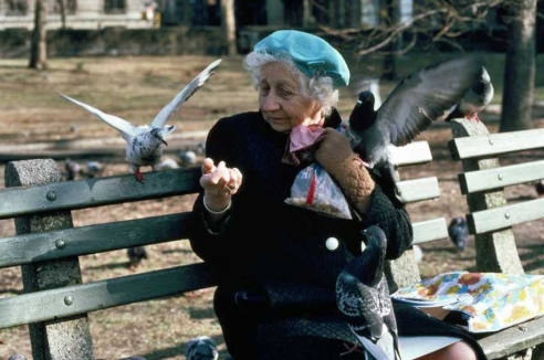 Фото - Наша газета