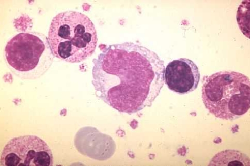 Фото - Наша газета