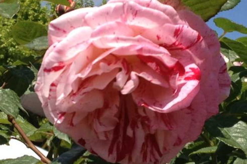 Фото - Наша газета