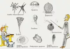 Фото - Наша газета
