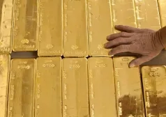Фото - Наша газета