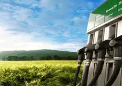 Фото - Наша газета